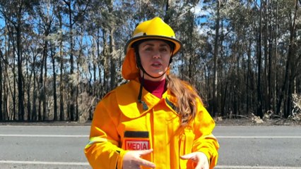 Four homes destroyed by bushfire in Bega Valley