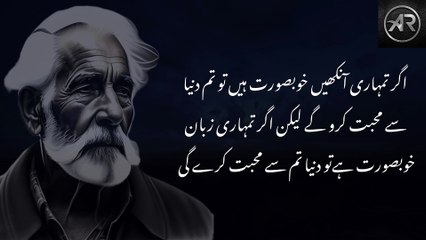 quotes about life lessons || Agar yeh char nishaniyan || Aqwal e rooh