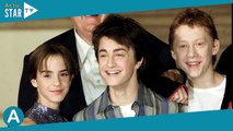 Mort de Robbie Coltrane, Hagrid dans Harry Potter : les causes exactes de son décès dévoilées