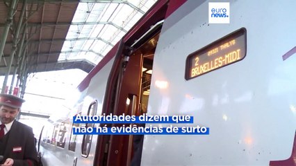 Cães pisteiros em guerra aberta contra praga de percevejos em Paris