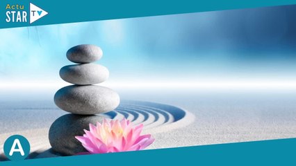 Décoration : apportez de la sérénité à votre intérieur en optant pour un jardin zen !