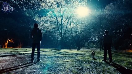 عجوز مريض لكنه تحول الى سلاح حي بعد أن ضربه نيزك Inuyashiki