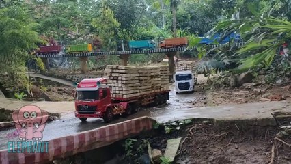 Trucks Working Hard to Transport Wood, Fully Loaded