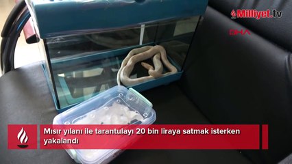 Yurt dışından gizlice getirdi! Türkiye'de satmak isterken yakalandı