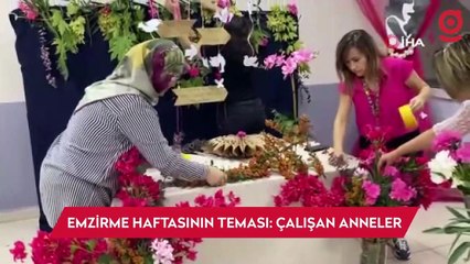 Emzirme Haftasının teması: Çalışan anneler