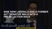 Nine NSW Liberals and a former ACT senator walk into a preselection race