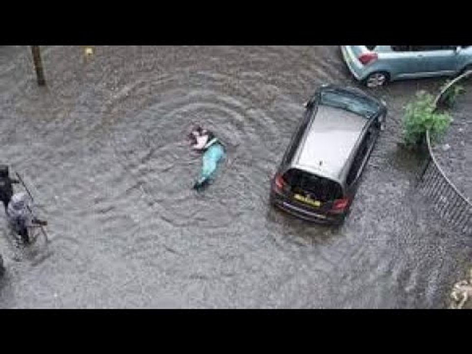 Une sirène profite des inondations pour sortir dans la rue.