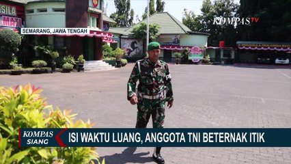 Koptu Shodaqoh, Anggota TNI Kodim 0733 Semarang yang Isi Waktu Luang dengan Ternak Itik!