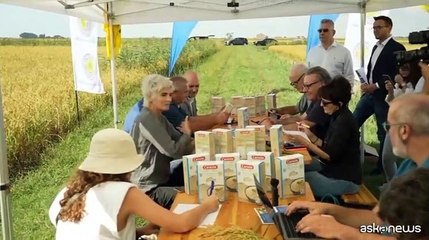 I pesci tornano nelle risaie: cos? nasce il riso sostenibile di Lidl