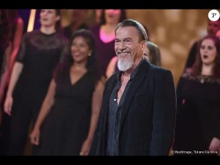 Karine Ferri gaffe au sujet de Florent Pagny : il réagit et promet de s'expliquer avec elle