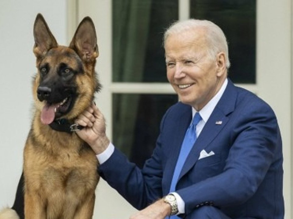 Bidens Hund ist nicht mehr im Weißen Haus