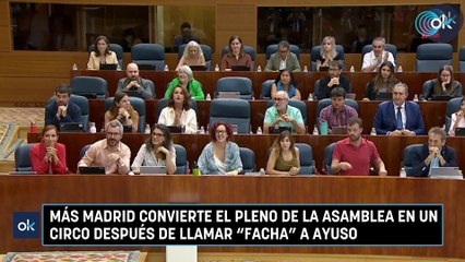 Más Madrid convierte el Pleno de la Asamblea en un circo después de llamar "facha" a Ayuso