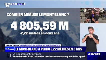 Mont Blanc: "On ne peut pas tirer la conclusion hâtive du réchauffement climatique", explique Cécile Taffin, présidente de l'union nationale des géomètres-experts