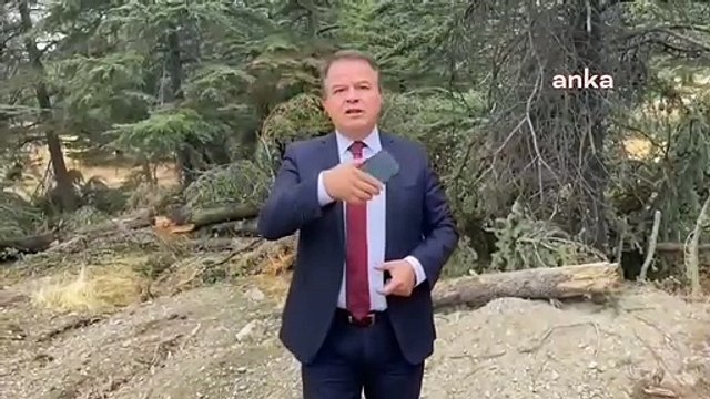 Des arbres ont été abattus dans la zone forestière d'Elazığ en raison des travaux de la ligne de transport d'électricité