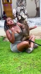 Funny Candies of Girls and Animals 2