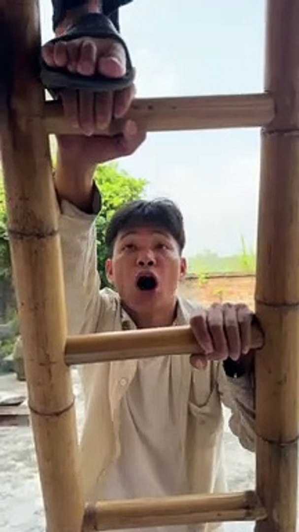 New comedy video clips comedy videos