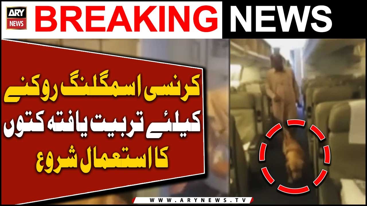 Customs starts use of trained dogs to stop currency smuggling