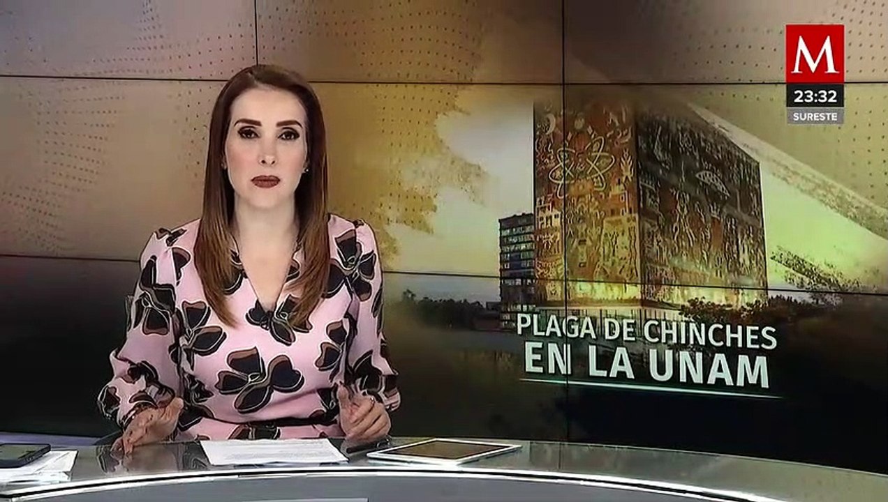 Estudiantes de la UNAM se pronuncian ante la plaga de chinches - Vídeo ...