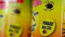 London Headlines: TFL on high alert for bedbug outbreaks on London transport