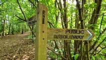 Beautiful Burgess Hill bridle path adjacent to the Burgess Hill to Hassocks road