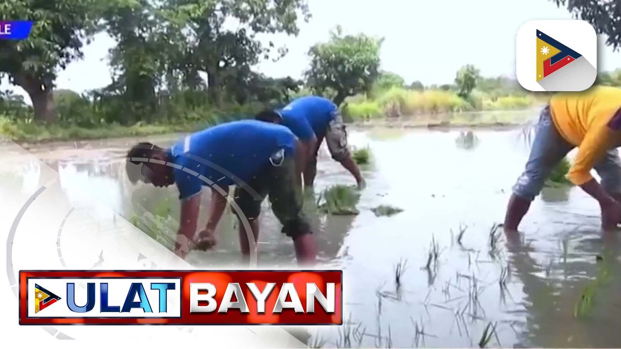 DA, tiniyak na may food program na nakalaan sa mga magsasaka at mangingisda sa bansa