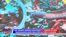Puerto Galera, isinusulong na maging diving capital ng Pilipinas