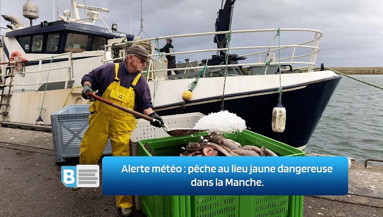 Alerte météo : pêche au lieu jaune dangereuse dans la Manche.