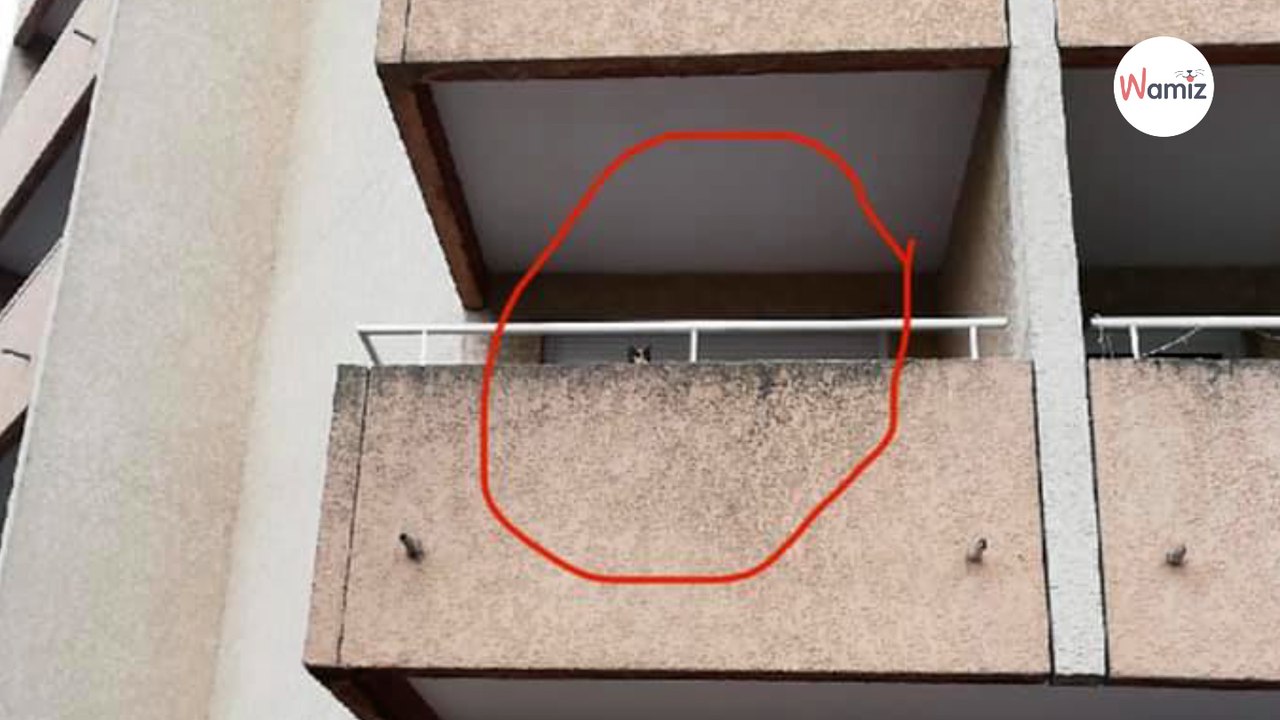 Familie aus Frankreich macht SCHOCK-Fund auf Nachbars Balkon