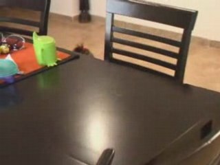 Amira Walks: A Journey of Discovery 🚶‍♀️