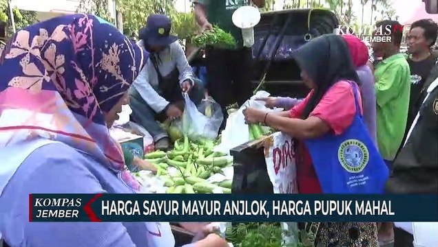 Harga Anjlok, Petani Bagikan Sayur Hasil Panen ke Warga Secara Gratis