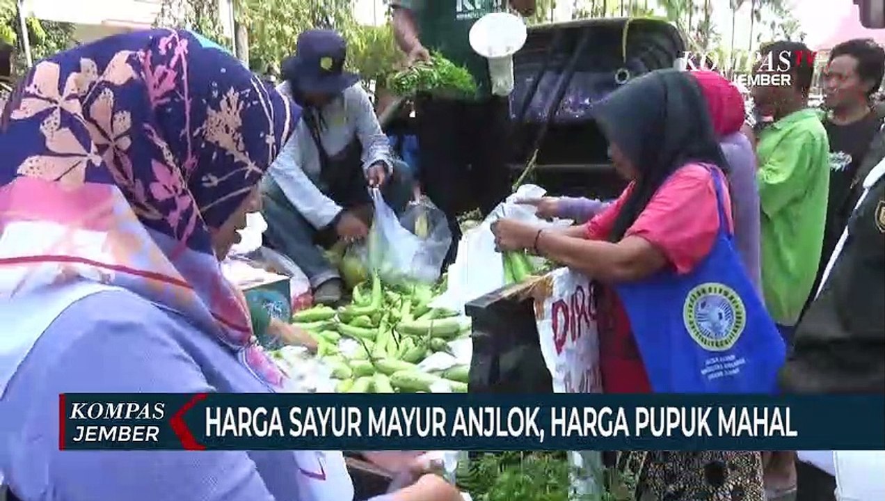 Harga Anjlok, Petani Bagikan Sayur Hasil Panen ke Warga Secara Gratis