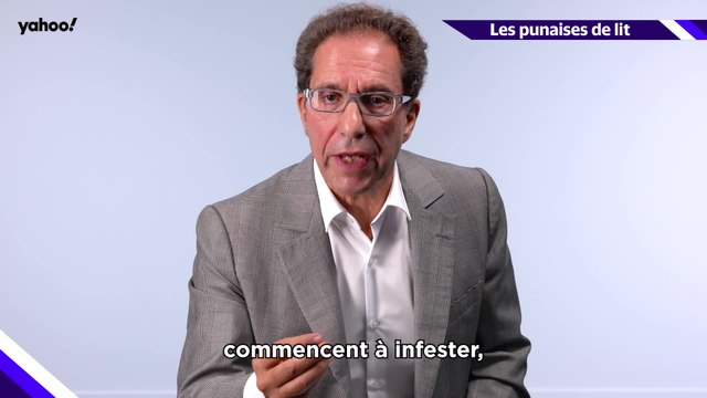 Carnet de Santé - Dr Christian Recchia sur les punaises de lit : Ce sont eux les premiers transporteurs de punaises de lit, il faut le dire