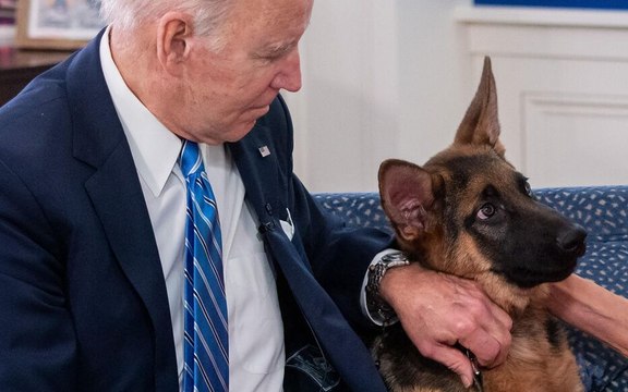 Commander, le chien de Joe Biden, écarté de la Maison Blanche