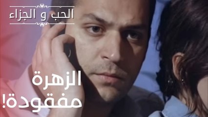 الزهرة مفقودة! | مسلسل الحب والجزاء  - الحلقة 16
