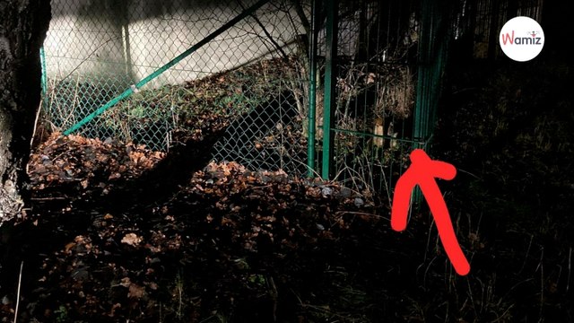 „Über den Zaun geschleudert : In Brandenburg schäumen sie vor Wut