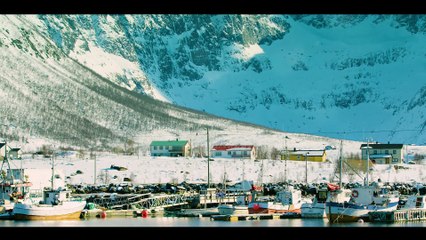 Greenland Unveiled - A Journey Through Ice and Tundra