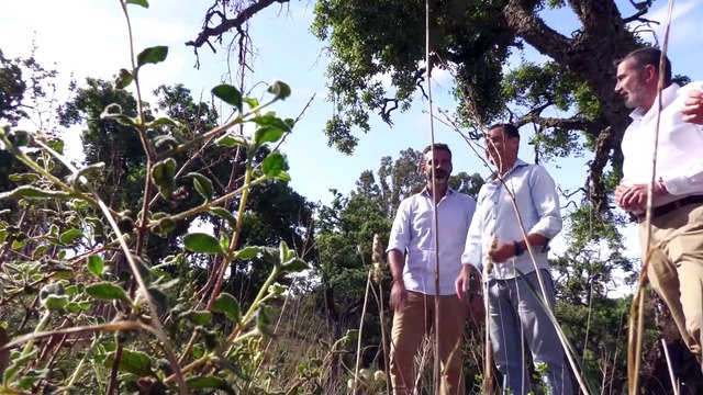 Andalucía inicia proyecto LIFE CO2RK que impulsa la innovación medioambiental con el alcornoque
