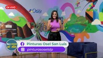 Tu Casa al Día En Vivo - 5 de OCtubre