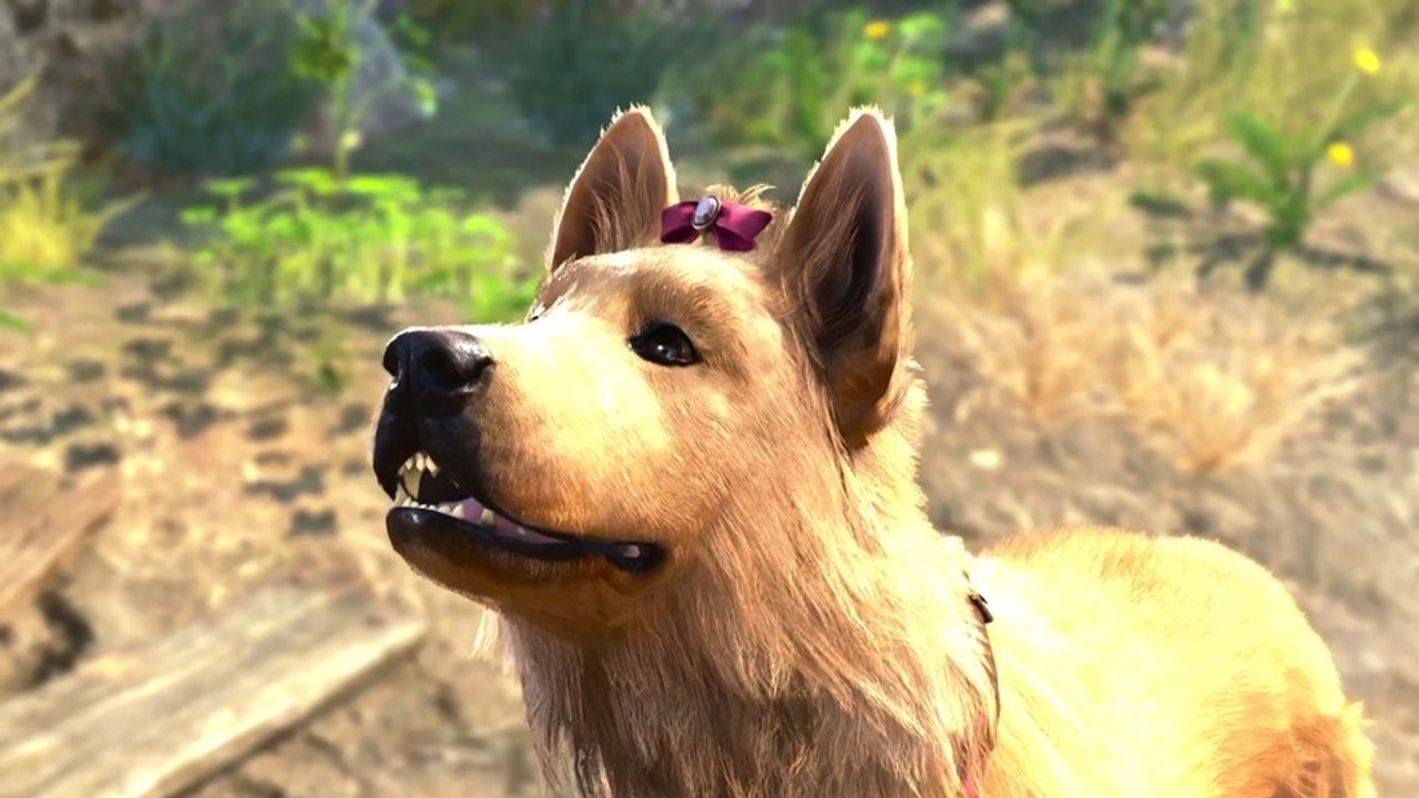 Wir sprechen in Baldur's Gate 3 mit Hunden und Katzen und werden spontan zur Mama