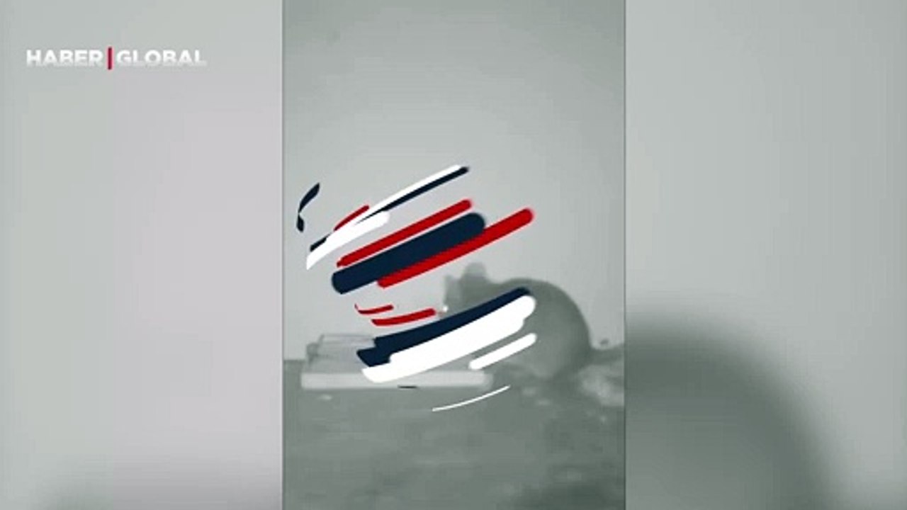 Tuzağı fark eden fare kapandan yiyeceğini böyle aldı