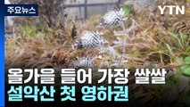 [날씨] 올가을 들어 가장 쌀쌀...내륙 기온 뚝, 설악산 첫 영하권 / YTN