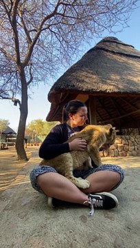 Lion Cub Greets Volunteer