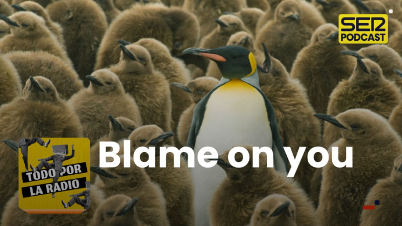 Blame on you