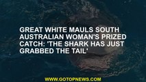 Great white mauls South Australian woman's prized catch: 'The shark has just grabbed the tail'