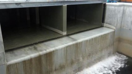 Fukushima, al via seconda fase dello sversamento acque contaminate