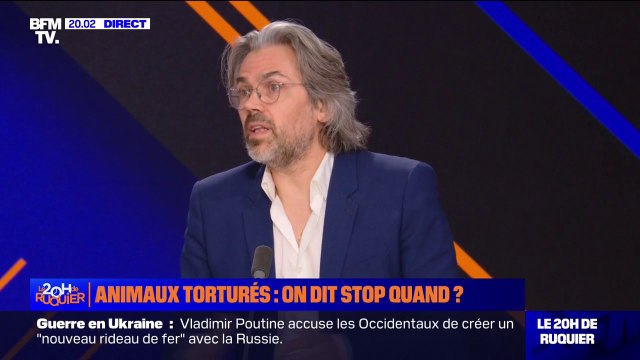 Maltraitance animale: C'est le lot commun de tous les élevages , pour Aymeric Caron (député REV de Paris et militant de la cause animale)