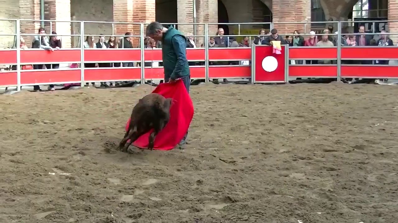 05.11.17 St Sever (Jacobins) Auberge Espagnole Capéa Inter Penas  L'acceuil 2e Sortie