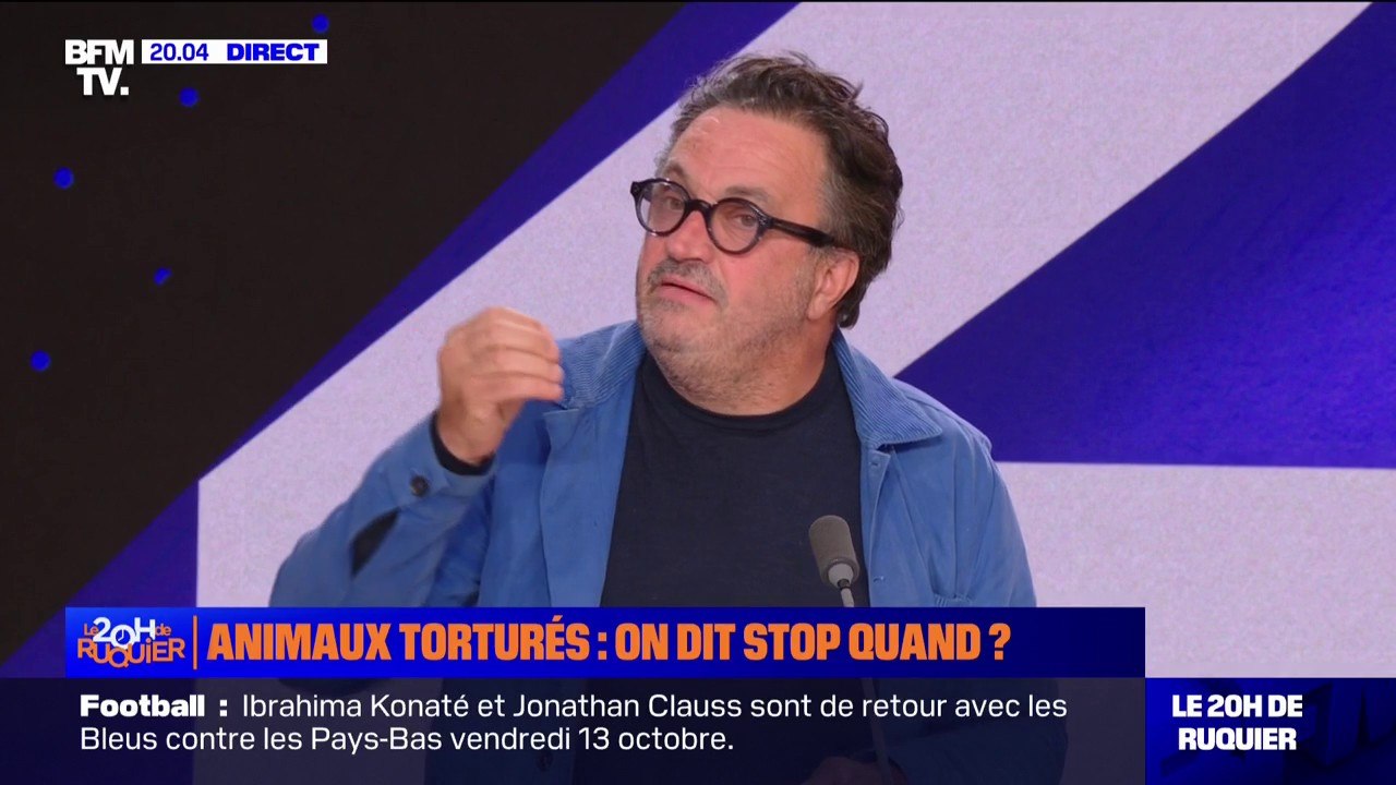 Maltraitance animale dans les élevages: "La pro...