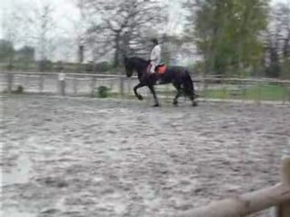 Elisa & Cavalys