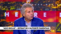 Gilles-William Goldnadel : «J'aurais bien aimé que ce môme s'exprime pour expliquer ses rapports avec sa mère»